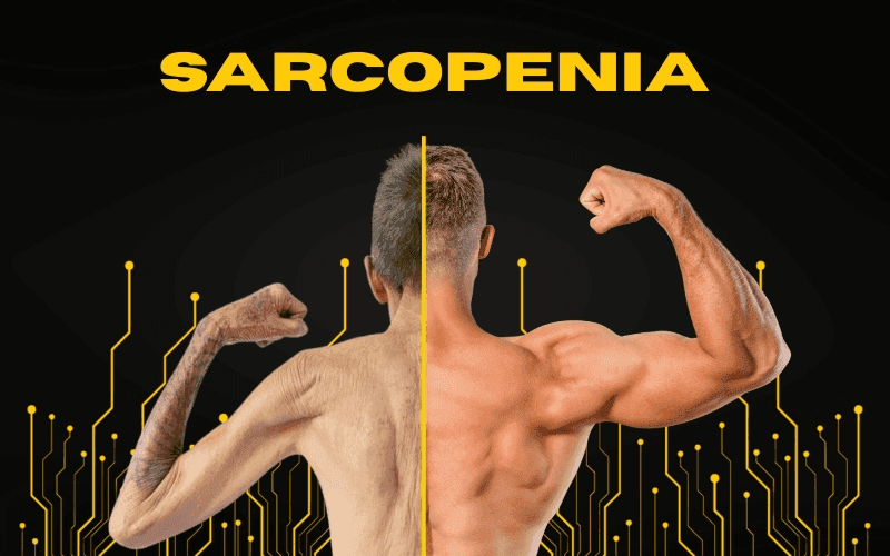 Sarcopenia: como evitar a perda de massa muscular e manter a força em todas as fases da vida