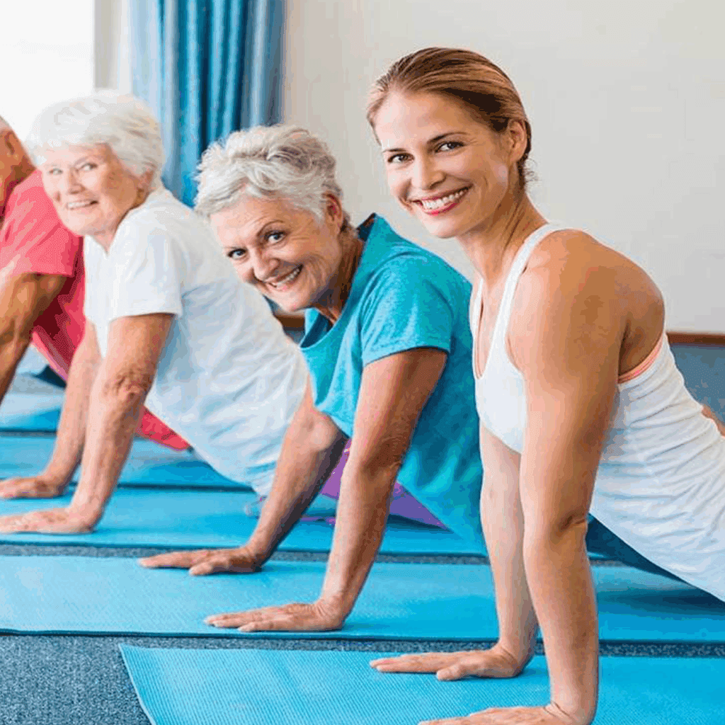 Niagen, metabolismo e longevidade