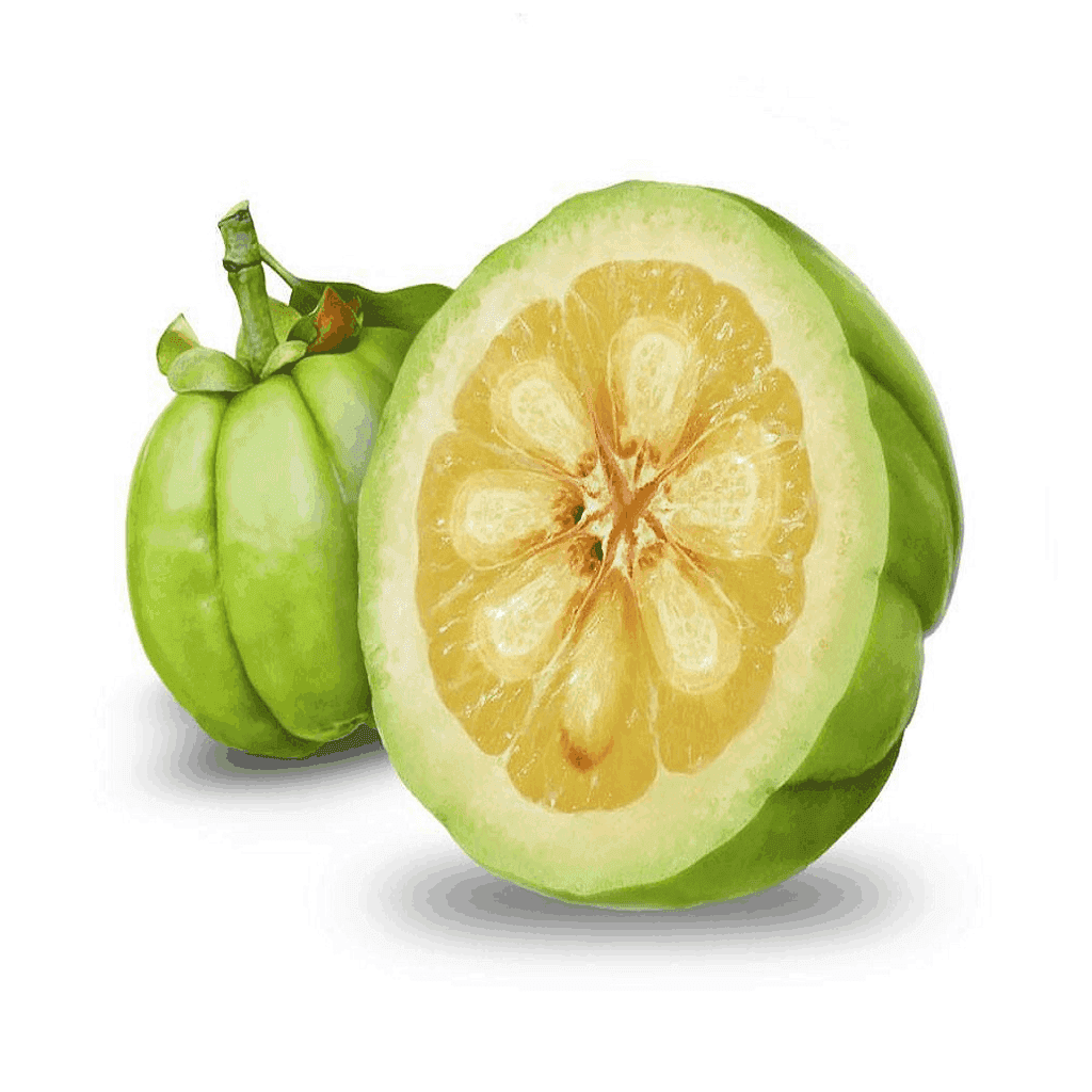 Tintura de Garcinia Cambogia