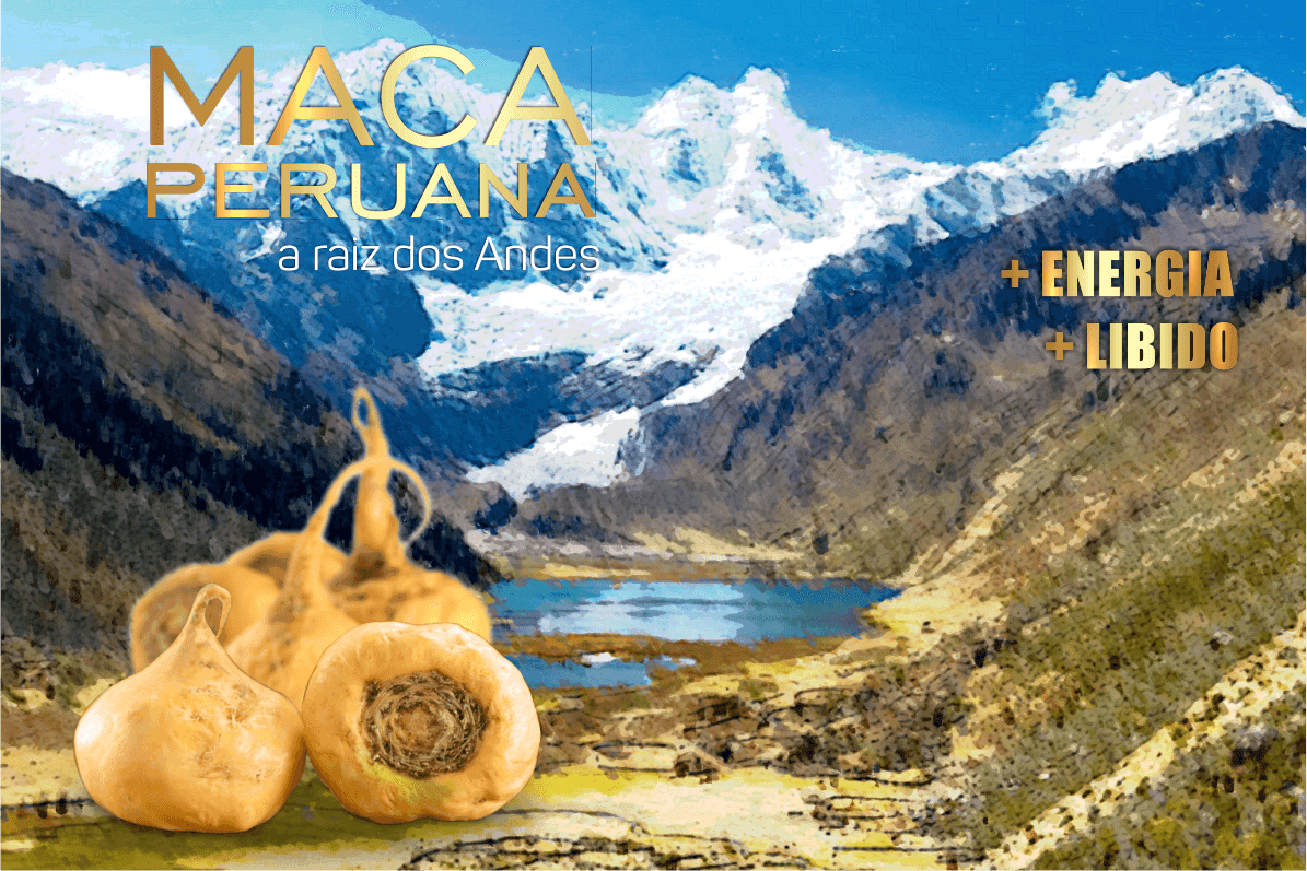 9 benefícios da maca peruana para a saúde que você não sabia